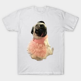 A Beautiful Pug wearing a pink tutu T-Shirt